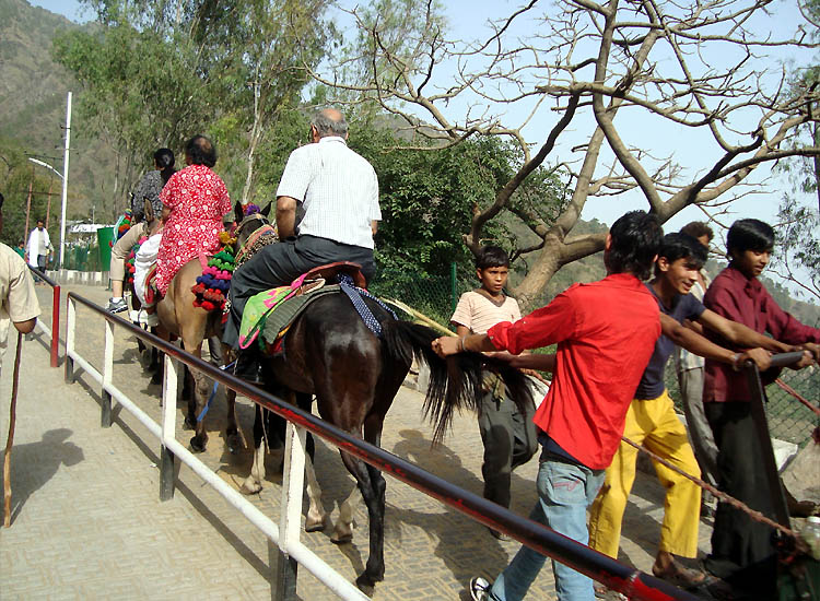 katra to vaishno devi trek time