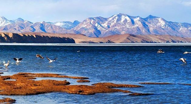 mansarovar lake
