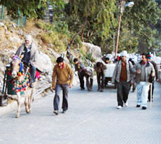 Vaishno Devi Package (By Road)