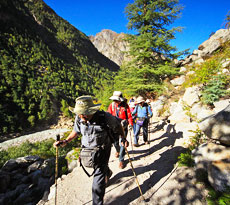 Gangotri Gaumukh Tapovan Trek