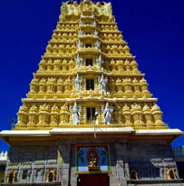South India Temple Tour 