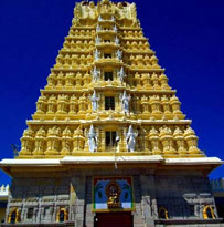 South India Temple Tour 