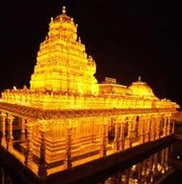 Tirupati Balaji Darshan Tour Package